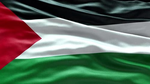 Realistic Palestine National Flag Waving Animation