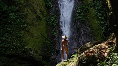 Woman Viewing Waterfall in Tropical Natural Environment