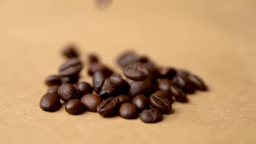 Coffee beans fall on a coffee pile slow motion