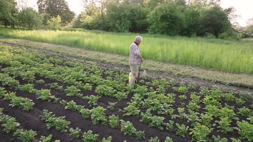 Farmer spraying pesticide sprayer garden farm vegetable garden spraying crop protection plant field