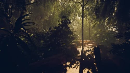 Evening Jungle Walk with Warm Glow and Lush Greenery Surrounds