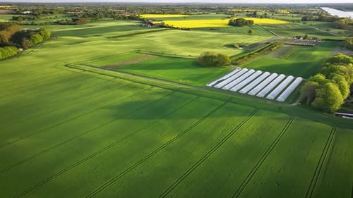 Aerial footage of diversified agriculture featuring green crop fields with tractor lines, white poly