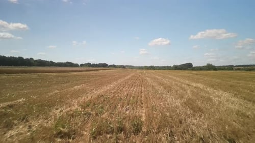 Wheat field aerial view in Ukraine