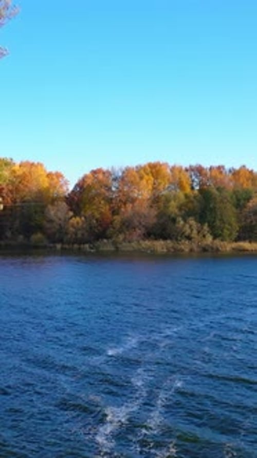 Autumn forest and river from air. Autumn in the wild on the background of the forest and the river