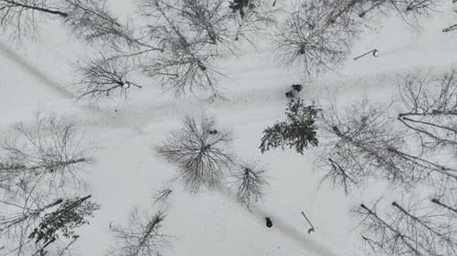 People Walk Along Park Covered with Snow on Winter Day