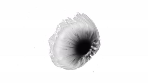 Dynamic Black Ink Bloom on White Background