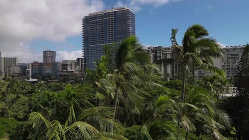 The city of Honolulu is so lucky to have the beauty of Hawaii around