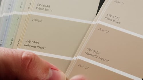 Color Pallet Choosing the Color By Designer Furniture Real Estate or Construction Works Creative