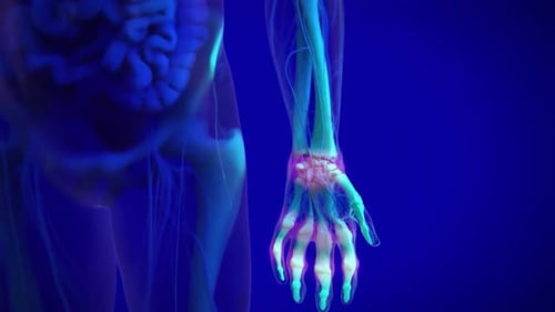 Rotating Futuristic Human Arm Anatomy Scan