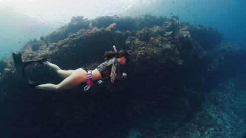 Underwater View of the Woman Freediver in Sensual Bikini Exploring Healthy Coral Reef in the