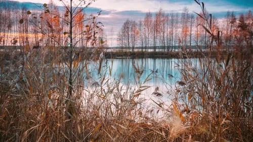 Autumn Forest Woods Lake Amazing