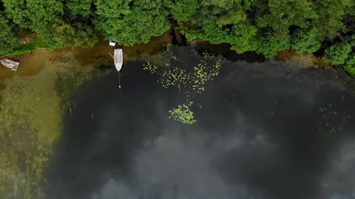 Boats Moored On The Lakefront And Floating On The Calm Water By The Lush Green Coniferous Forest In