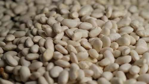 White Dried Beans Spread on Rotating Surface – Close Up Food Shot