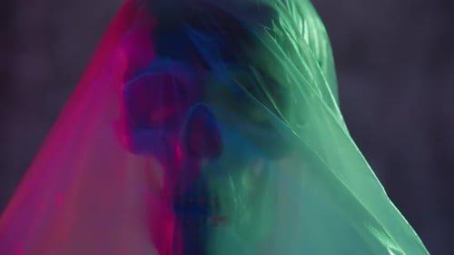 Skull Under Plastic
