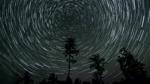 Rotating Star Trails at Night Above Forest