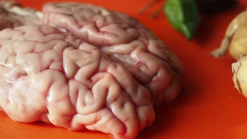 Unique Culinary Preparation with Animal Brain in Kitchen