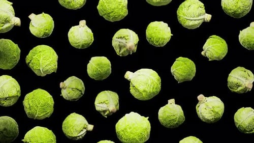Realistic Falling Cabbages Loop with Black Background