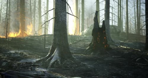 Forest Under Threat From Wildfire with Charred Trees and Smoke