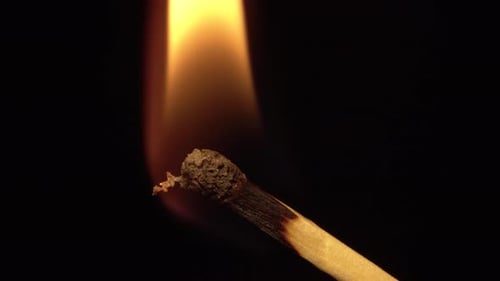 Burning Matchstick in Macro on Black Background