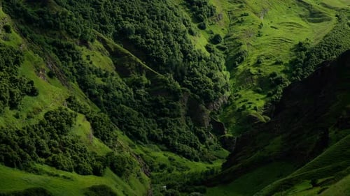 A Lush Green Valley with a Mountain in the Background