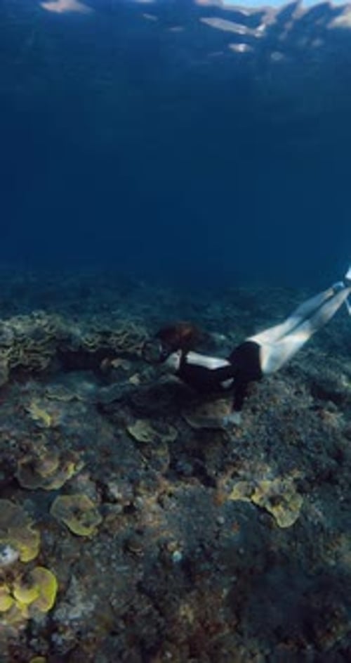 Female Freediving Undersea in Transparent Ocean with Amazing Corals in Raja Ampat