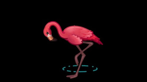 Animated Artistic Flamingo Standing and Preening