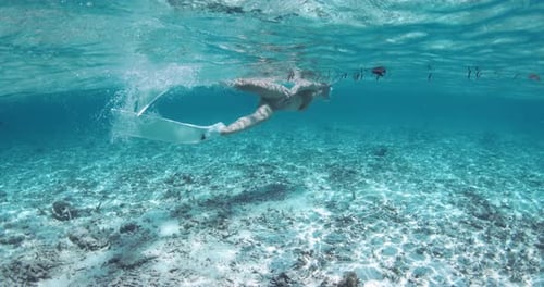 Woman Swimming and Exploring Shallow Waters Underwater Snorkeling in Tropical Clear Ocean