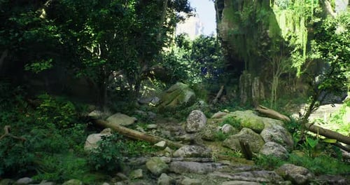 Lush Green Forest Ravine with Sunlight Filtering Through Tall Trees