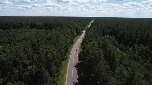 Shooting From Quadrocopter of the Movement of Cars on Highway Surrounded By Forest on Summer Day and