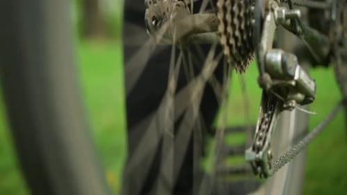 CloseUp of Person Pedaling Parked Bicycle in Grassy Field with Rotating Tire