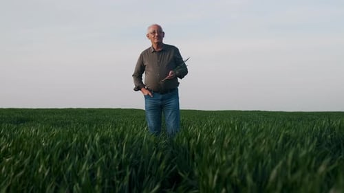 Portrait of senior farmer standing in wheat field holding crop in his hand.