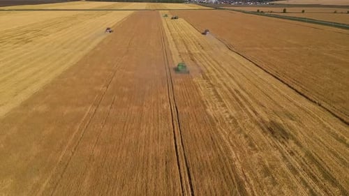 Different Agriculture Machines Harvesting Grain in Wheat Field, Aerial Footage.