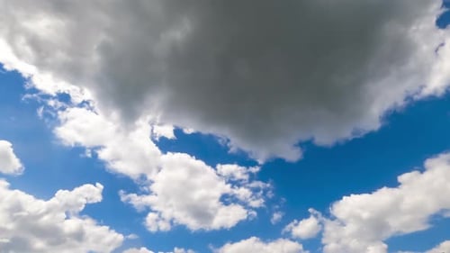 Sunlit shining white clouds in the blue skies. Sunny day footage. Low angle view