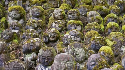 Estátuas de arhat cobertas de musgo cobrindo a encosta ao redor do terreno do templo no Otagi Nenbutsuji T