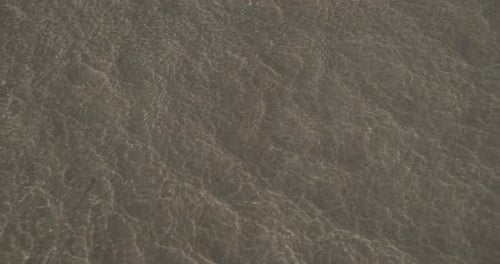 Calm Sea Ocean Waves Slomo Slow Motion Slowmo Clear Sea Water Waves Wash Sandy Shore Summer Holidays