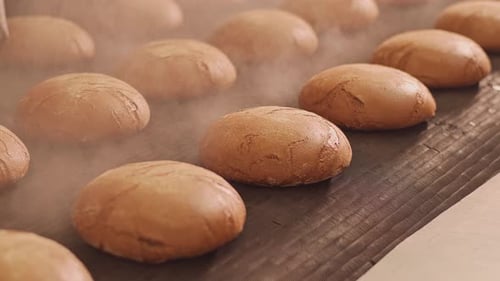 Loaves of bread on a production line in a bakery. Fragrant bread with a ruddy golden crust.