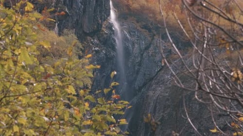 Parque nacional, ladera de montaña y corriente de agua