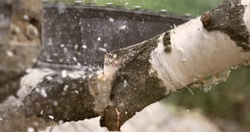 Chainsaw Cutting Thick Branch Close Up