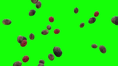 Nutmegs Falling On Green Screen With Alpha Matte