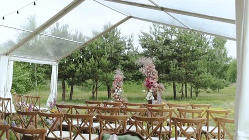 Outside Wedding Ceremony in Park Among the Trees Back View From the Chairs View of Beautiful and