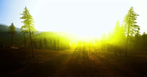 Les collines brumeuses et la douce lumière du soleil créent un environnement extérieur apaisant