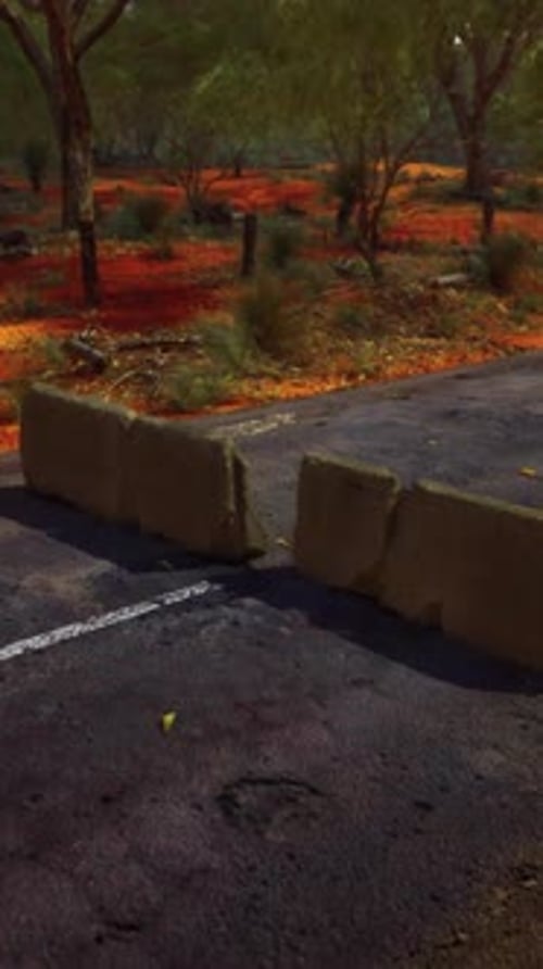 Old Rusted Concrete Road Barrier Blocks