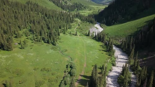 River Flows Through Green Valley Surrounded By Coniferous Forest
