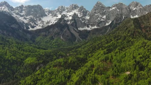 Grüne Weide und Gipfel des Alpengebirges