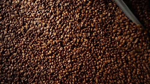Close Up of Coffee Beans in Roaster