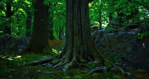 Majestic Tree Surrounded By Lush Greenery in a Serene Forest Setting