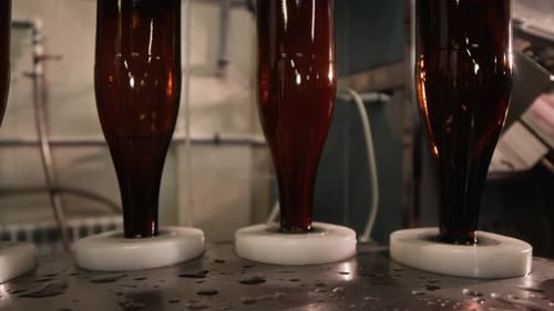 Automated Dark Bottle Filling Production Line