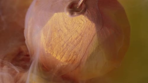 Abstract Close Up of an Onion with Swirling Color