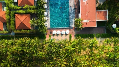 Overhead Tropical Resort Scene Showing Expansive Swimming Pool White Sunshades Palm Trees Orange