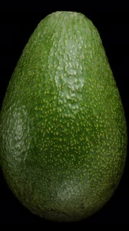 Vertical video. Precisely Cut Avocado Half with Pit Rotates on a Black Background in Close-up.
